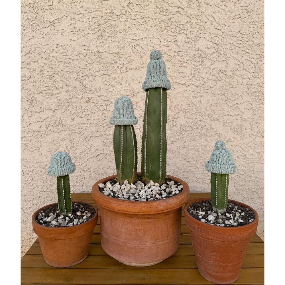 Teal Chenille Knit Cactus Hat – Handmade Winter Cozy, Frost Protection